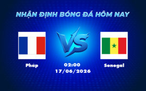 phap senegal 17 06 fifa world cup